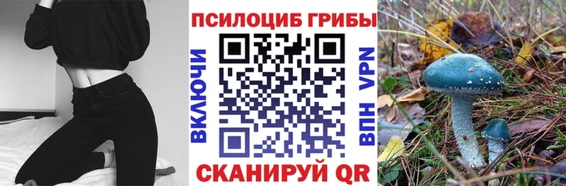 даркнет как зайти  Верхняя Салда  Псилоцибиновые грибы Cubensis 
